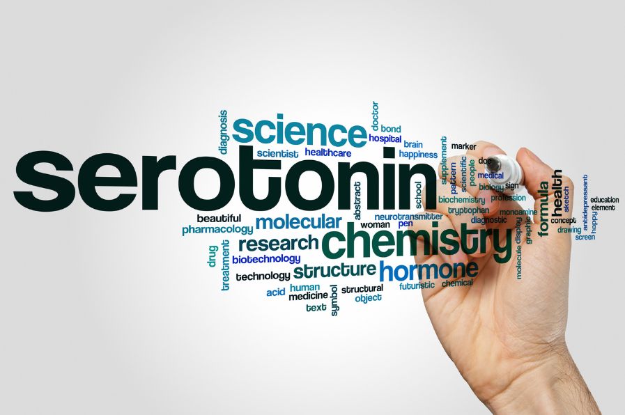 A Influência da Serotonina: Explorando a Ligação entre Humor, Apetite e Emagrecimento